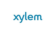 Xylem