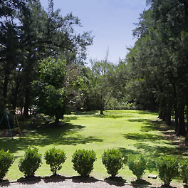 Parque